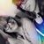 Marissa Cassone's profile image