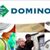 Domino Amjet's profile image