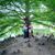 Sarah Shouse's profile image