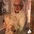 Joseph Plante's profile image