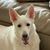 Beth Berland's profile image