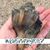 Betty Jenkins Dumont's profile image