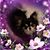 Donna Hersh's profile image