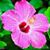 Tracy Zange's profile image