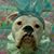 Lori Wilkerson's profile image