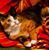Tracy Tyndall's profile image
