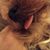 Rusty Goins's profile image