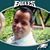 Paul Stith's profile image