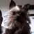 John Lodge's profile image