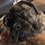 Donna Jean Hanks-Smith's profile image
