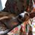 Julie Malmstrom's profile image
