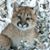 Andra Marie Mueller's profile image