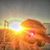 Dave Paige's profile image