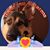 Pamela Hollo's profile image