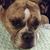 Stephanie Capano Hatcher's profile image