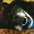 Pamela Joy Olin's profile image