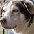 Lisa Covington's profile image