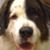 Robin Walsh Hansen's profile image