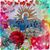 Kelly C Levisee's profile image
