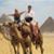 Therese Kapaun's profile image