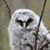 Brenda Reid's profile image