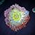 Alison Mee's profile image