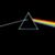 Randy Nachtigall's profile image