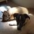 Beth Huebner's profile image