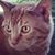 Jes Singer's profile image