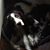 Tina Ciotti Freels's profile image