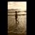 Desiree Nielsen's profile image