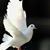 Mattie Stewart Grady Smith's profile image