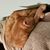 Jess Rhoads Webb's profile image