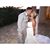 Stephanie Ruggles's profile image