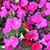 Marie LeClair Fronduto's profile image