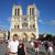 Jackie Moskus Murgio's profile image