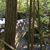 Susie Dishman Verdier's profile image