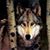 Tiffiny Whipple's profile image