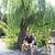 Sandy Januya's profile image