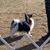 Nancy Maurer's profile image