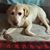 Shelly Thompson's profile image