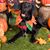 Lori LeBlanc's profile image