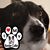 Jeannine Guenther's profile image
