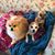 Carla D Schmidt's profile image