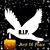 Shary Bastet Shavelly's profile image