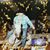 Karen Desiano's profile image