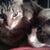 Mary Spalvieri's profile image