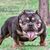 Cassie R Morris's profile image