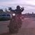 Debbie Barella's profile image