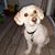 Kristine Dierking's profile image